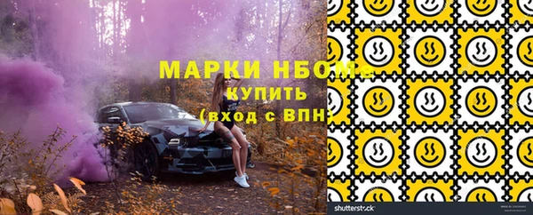 прущие грибы Аркадак