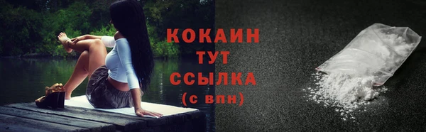 прущие грибы Аркадак