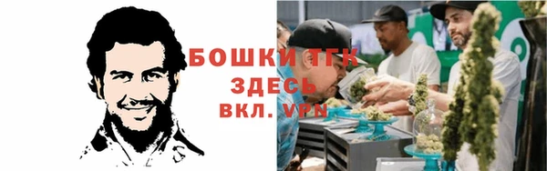 экстази Арсеньев