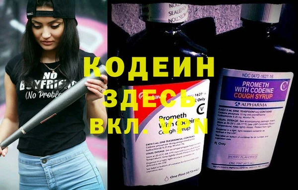 прущие грибы Аркадак