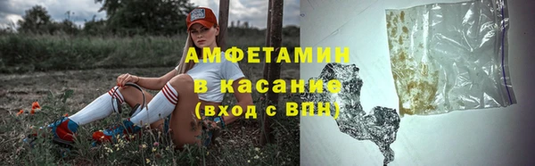 прущие грибы Аркадак