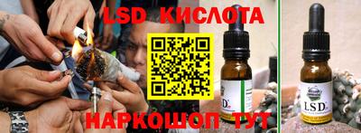 крисы Пенза