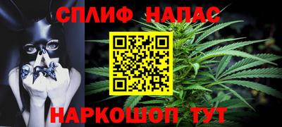крисы Пенза
