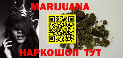 крисы Пенза