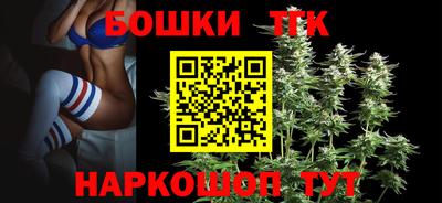 крисы Пенза