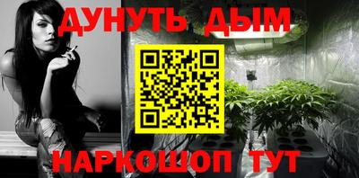 крисы Пенза
