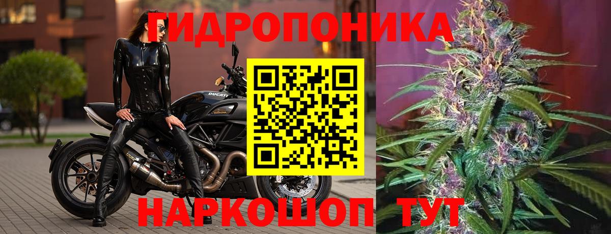 Канабис конопля Бирск